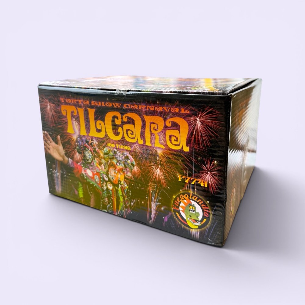 Minishow de Fuegos Torta de luces